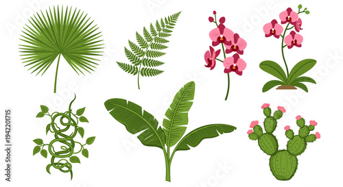 A vibrant vector illustration of various green plants and flowers on a white background