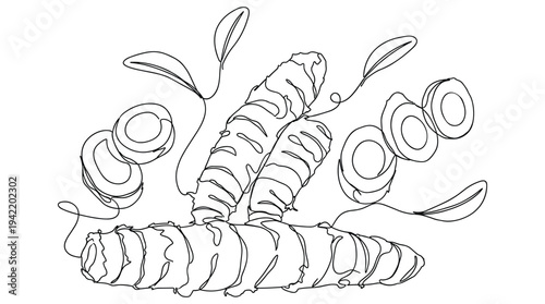 Continuous line illustration of fresh turmeric root with slices and green leaves