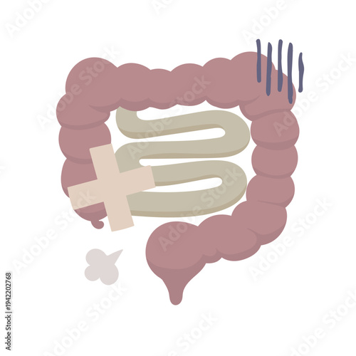 絆創膏が貼られた不健康そうな腸のイラスト