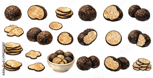 A charming watercolor collection of black truffles featuring whole truffles and sliced gourmet mushrooms illustrated in a luxurious culinary food style.