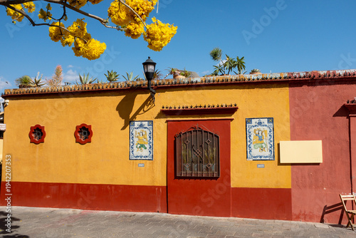 Tableau sur toile A vibrant Oaxacan street scene with yellow and red walls, tiled artwork, and blooming trees under a clear blue sky