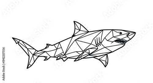 Geometric shark illustration on a white background.