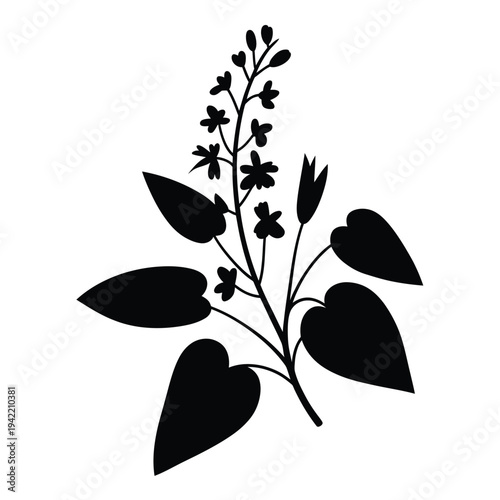 Black silhouette of a flowering plant with heart shaped leaves