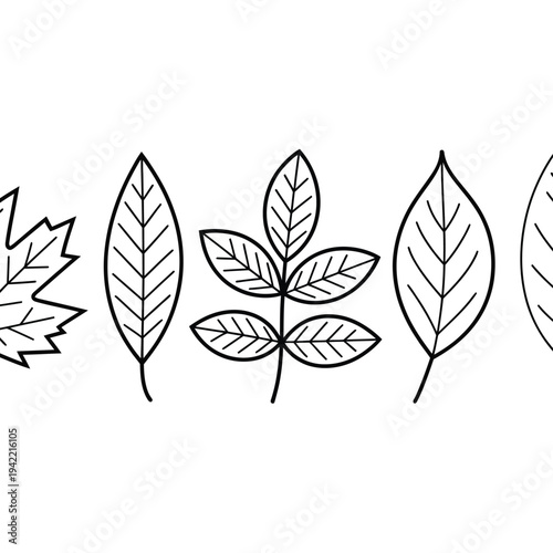 A collection of hand drawn leaves in a simple black and white style