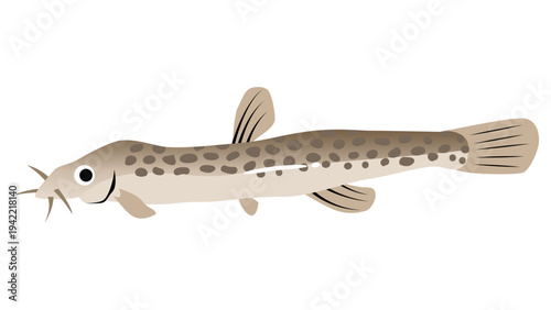 シンプルでかわいいドジョウのイラスト　食べ物・魚のベクター素材