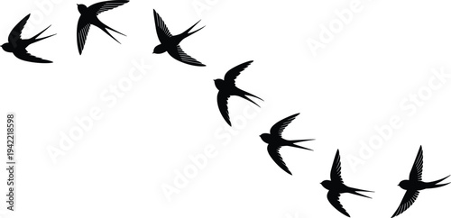 Flying swallow bird silhouettes in motion isolated on white background, graceful birds in flight vector illustration for nature, wildlife, and freedom concept