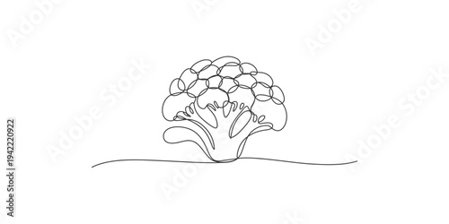 A continuous line drawing of a single head of broccoli on white background