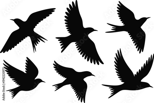 Flying bird silhouettes collection with wings spread isolated on white background, black wildlife bird vector illustration set for nature design