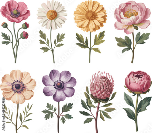 Collection of eight illustrated flowers in vibrant colors and varied leaf structures, detailed botanical artwork for floral design, seasonal decoration, and artistic inspiration concepts