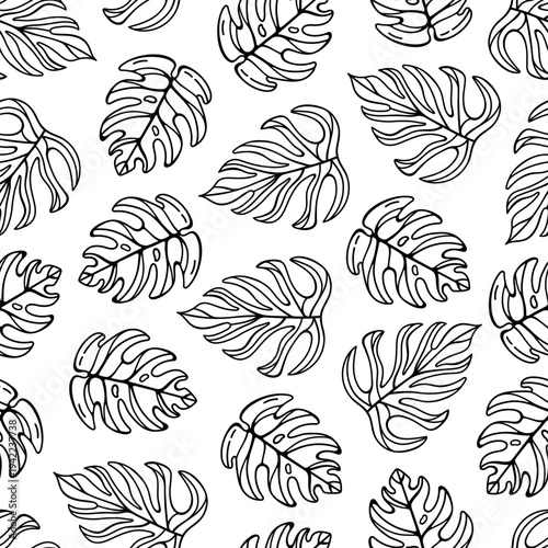 Monstera deliciosa seamless vector pattern. Leaves of a tropical liana with veins. Botanical background, black and white drawing. Exotic houseplant, rainforest plant. Hand drawn floral ornament