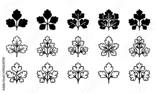 Parsley leaves icon set, isolated vectors