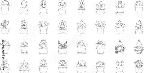 Thirty two black and white line of potted plants and hanging baskets line potted plants succulents