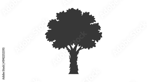 Paperbark maple tree silhouette