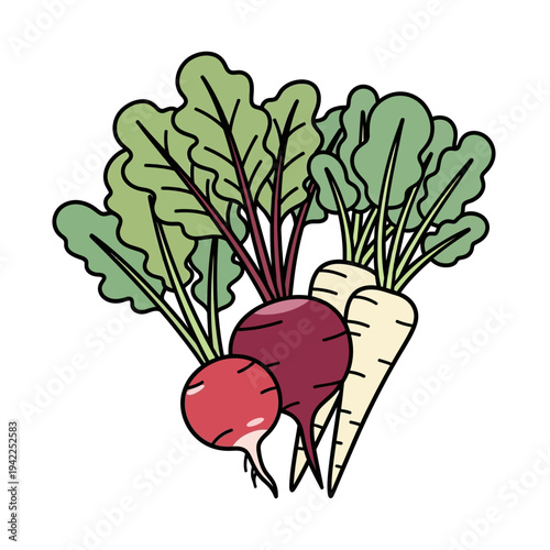 A vibrant illustration of root vegetables including a red beet, a radish, and a parsnip, all with leafy green tops.