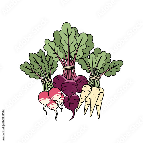 A vibrant illustration showcasing a fresh harvest of root vegetables, including radishes, beets, and parsnips, tied in neat bunches.