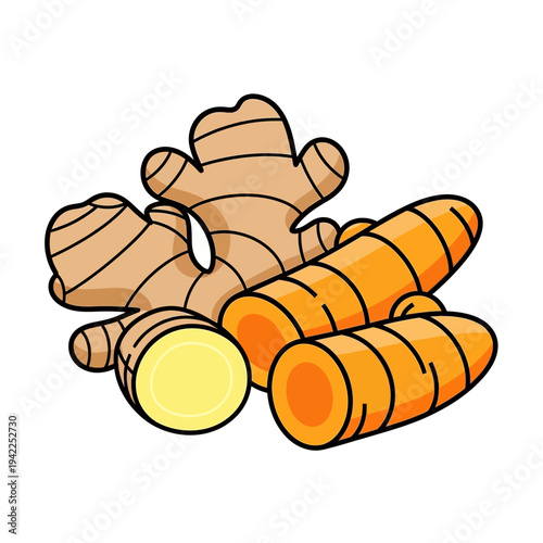 Photos A vibrant illustration of fresh ginger root and bright orange turmeric rhizomes, some sliced to reveal their colorful interiors