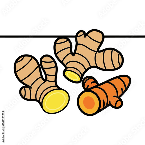 A simple, stylized illustration of three root vegetables, two ginger roots and one turmeric root, cut to show their interiors.
