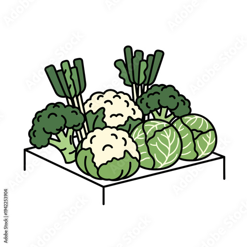 A colorful assortment of fresh broccoli, cauliflower, and cabbage displayed on a white shelf.