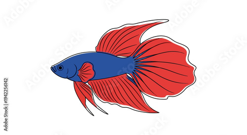 Blue and Red Fish.