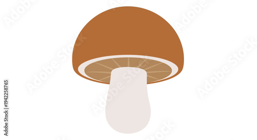 Brown Mushroom Fungi Illustration.