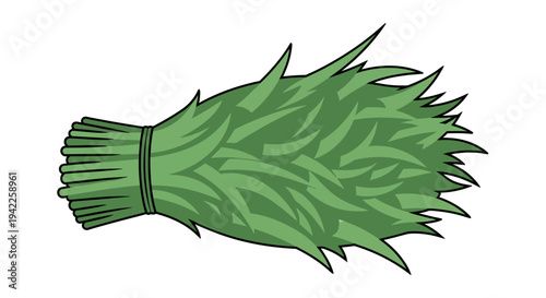 Bunch of Fresh Thyme.