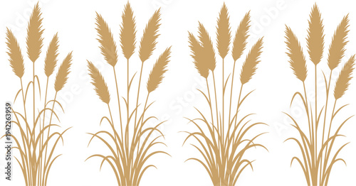 set of pampas grass silhouette design vector art illustration.
