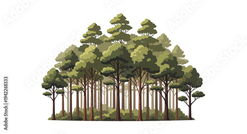 Illustration of a dense forest with tall trees and lush greenery on a white background, celebrating the International Day of Forests with a global event theme and business icon design.
