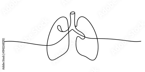 Minimalist continuous line drawing of human lungs and trachea on a white background Vector, illustration