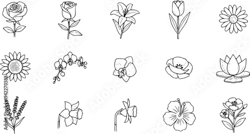 Flowers linear icons set. Vector illustration.