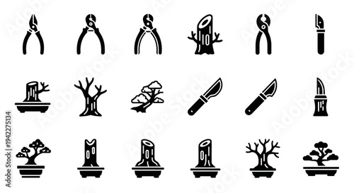Bonsai tree cultivation techniques illustrated with various pruning tools and stages