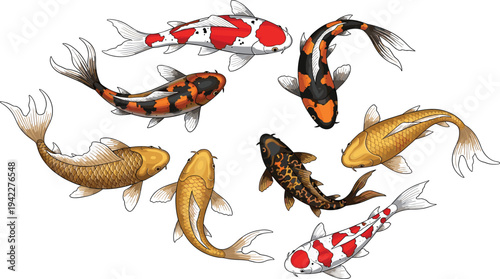 Realistic Koi Fish Collection with Colorful Japanese Carp Swimming in Pond for Aquarium Design, Garden Decoration, and Asian Culture Illustration.