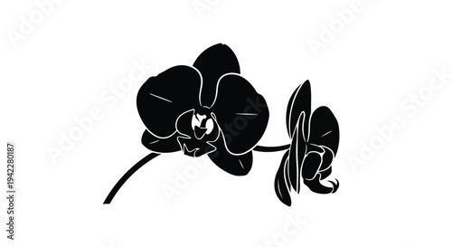 Two velvety orchid blossoms are rendered in deep black silhouette, contrasting sharply against the pure white canvas for an elegant statement.
