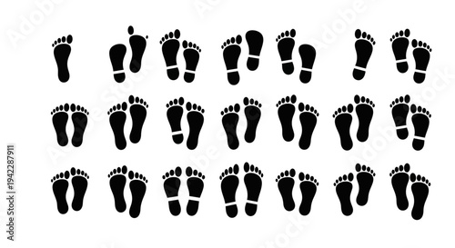 Collection of diverse footprints arranged in rows on a plain surface, viewed from directly above