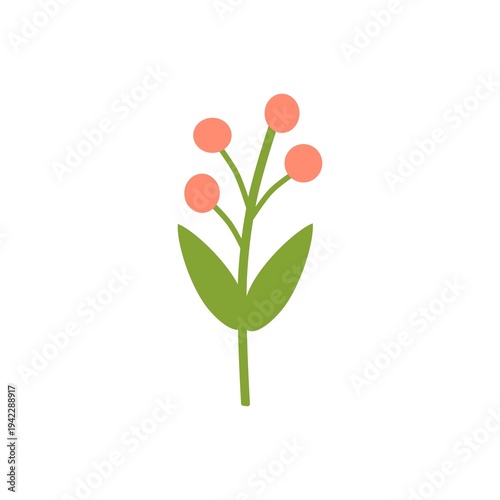 Simple botanical design with round berries and clean modern look