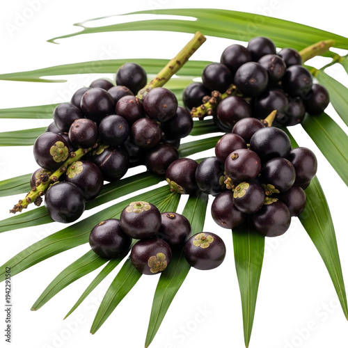 Acai berries on palm leaves