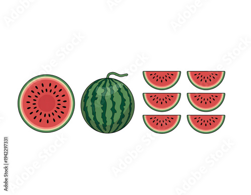 A colorful vector illustration of a whole watermelon and slices on transparent background