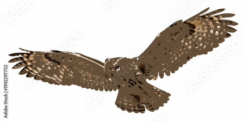 A majestic owl in flight with wings fully extended and detailed plumage
