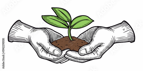 Hands gently holding a small seedling growing from fertile soil