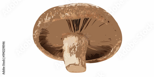 Underside view of a portobello mushroom with detailed gill structure