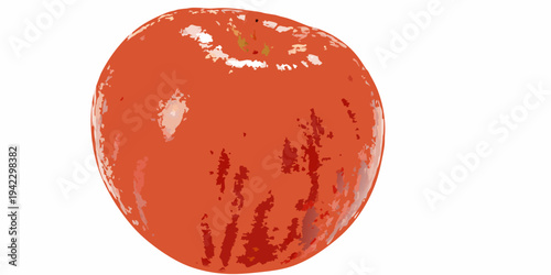 A vibrant detailed illustration of a ripe red tomato on white