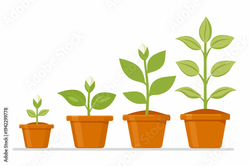 Illustrative depiction of plant growth stages in terracotta pots