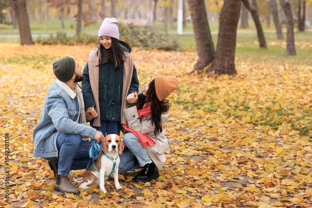 Fototapeta premium Cute Asian girl with her parents and Beagle dog in autumn park