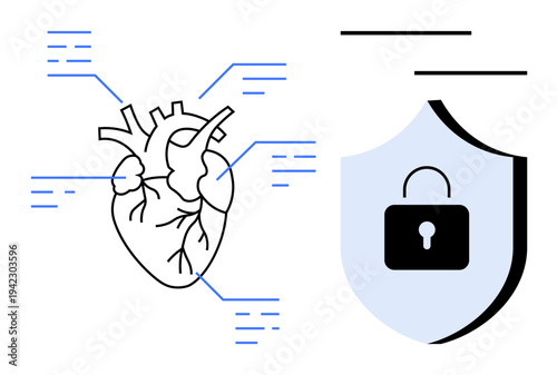 Anatomical heart surrounded by data points, representing human health, next to a shield with a lock symbol for cybersecurity. Ideal for healthcare, data security, medical technology, health