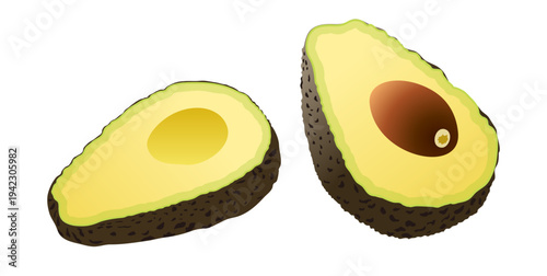 アボカド イラスト ベクター