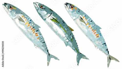 Three silver mackerel fish displayed in a stylized illustrative arrangement