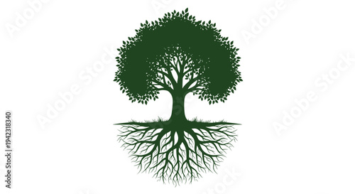 A dark green tree with a dense, rounded canopy and an intricate, spreading root system is centrally depicted on a clean white background.