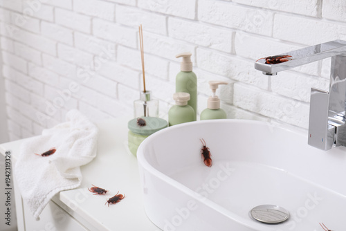 Interior of bathroom with t...