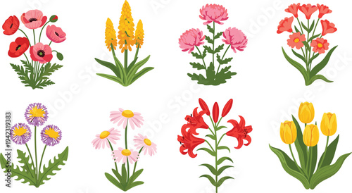 Colorful illustration of eight different flowers including poppies, lupines, chrysanthemums, geraniums, asters, daisies, lilies, and tulips, symbolizing botanical design, gardening, education, and 