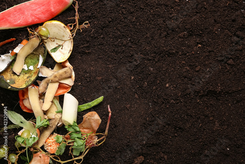 Different organic waste wit...