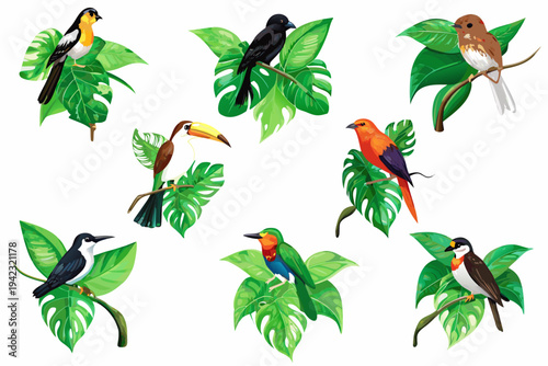 Colorful tropical birds perched amongst vibrant monstera and palm leaves
